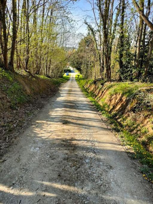 *Gite Aux Grappes Du Pressoir* A 2 Km De Beauval Seigy Exteriör bild