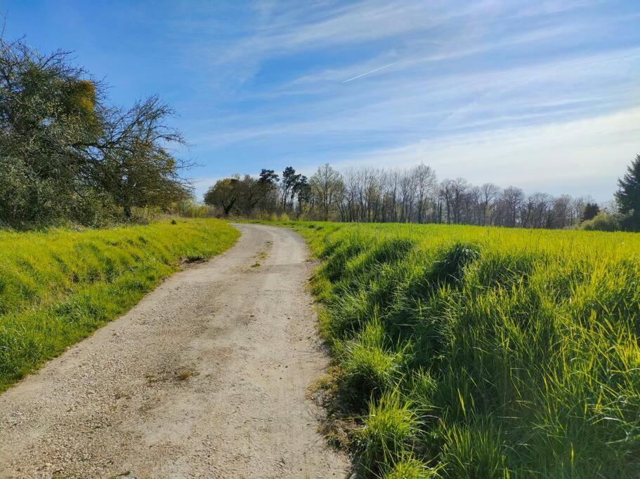 *Gite Aux Grappes Du Pressoir* A 2 Km De Beauval Seigy Exteriör bild