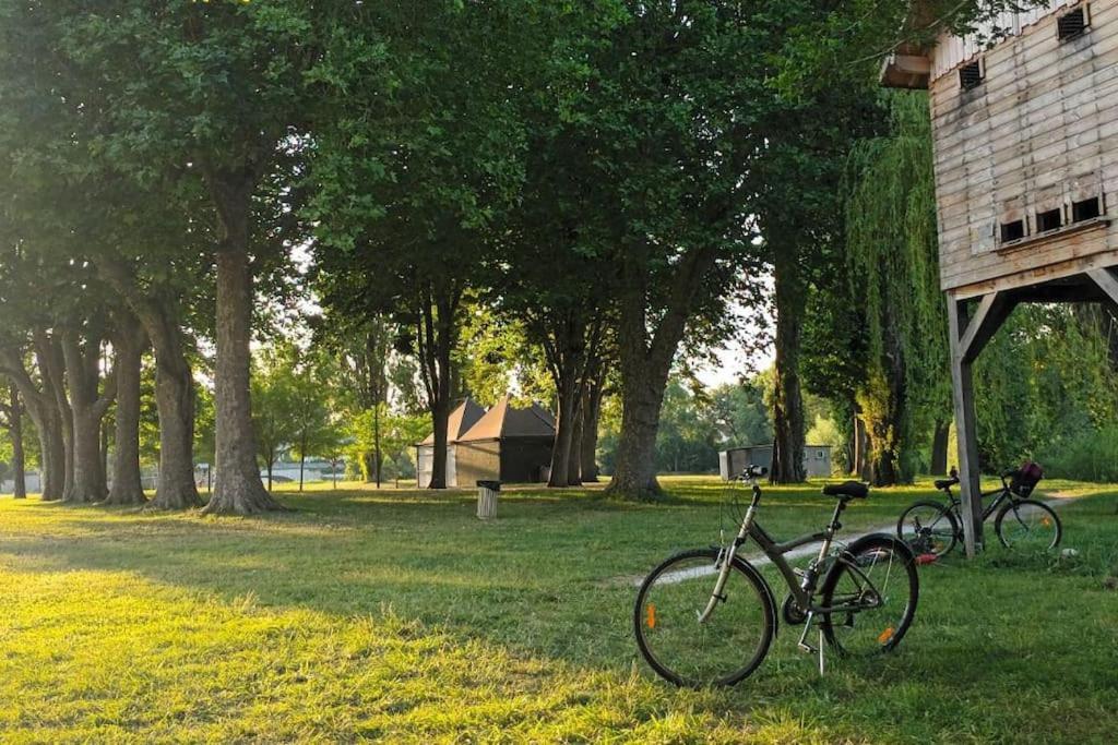 *Gite Aux Grappes Du Pressoir* A 2 Km De Beauval Seigy Exteriör bild